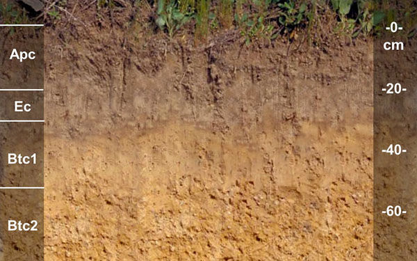 土壤养分检测离子传感器土壤水分分类