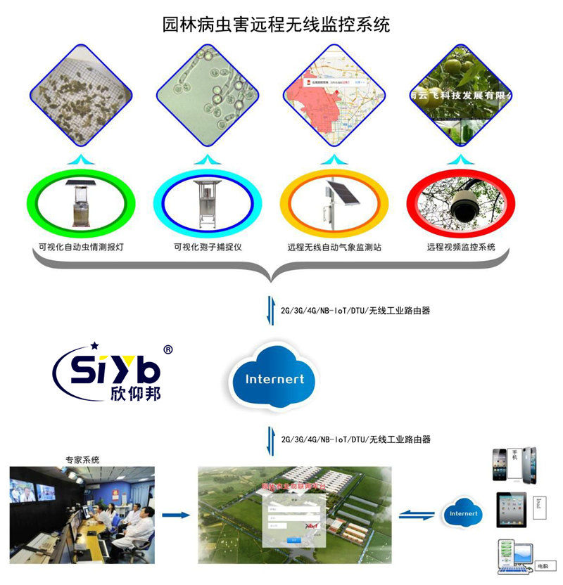 智慧园林病虫害远程监控预警系统方案002