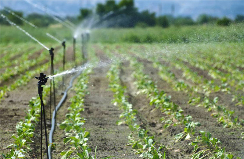 自动化智能灌溉一体化系统解决方案
