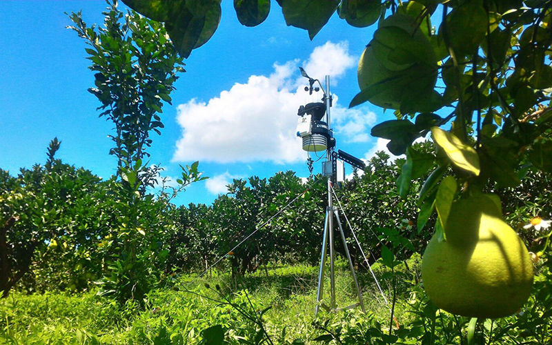 物联网微气候传感器设备数据与园林知识结合透过资料分析发挥实际效益