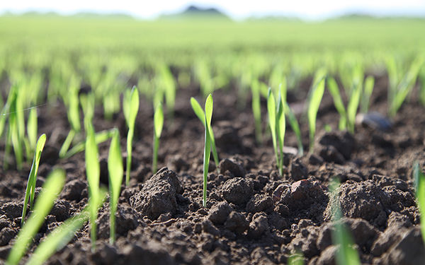 土壤肥料离子传感器监测肥力化学性质