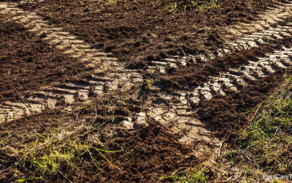 土壤离子浓度传感器土壤特性：稳定性指数