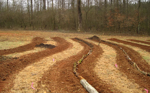 土壤离子超标监测土壤水势