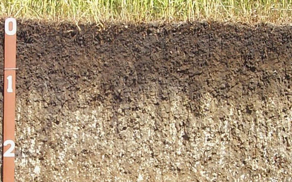 监测土壤的 pH 值和土壤离子基本营养素