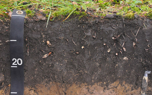 土壤监测站幼树或农业种植土壤湿度