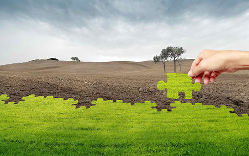 有机农业提高土壤肥力的另一种方式土壤离子养分