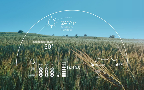 智能农业智能灌溉农业传感器可以帮助及早发现虫害及作物参数