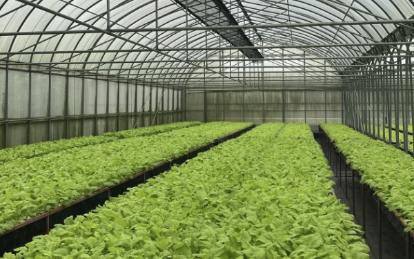 农业温室地上环境控制光、温度、湿度和二氧化碳
