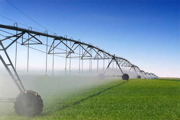 农业灌溉水(农业灌溉耗水量包括)