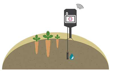 避免高成本的使用土壤传感器