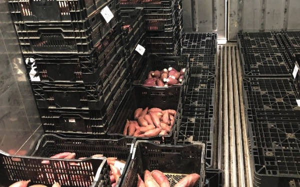 冷链车恒温冷藏集装箱远程温度控制系统