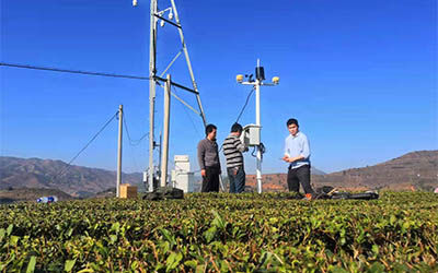 气象传感器在农业物联网气象站的运用