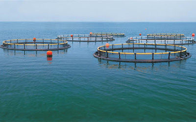 欣仰邦传感器养殖业控制养鱼场的水质