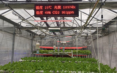 新型智能农业传感器为作物监测的准确性
