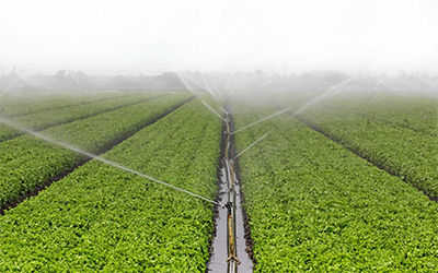 智慧园林智能数字农业土壤湿度传感器监测水分渗透土壤水分阀门泵控制