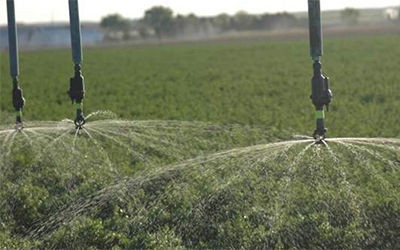 自动灌溉解决方案防止过度灌溉土壤氮磷钾养分流失精确灌溉远程控制