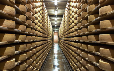 食品工厂水质PH传感器实时监测将pH测量值用于奶酪制作