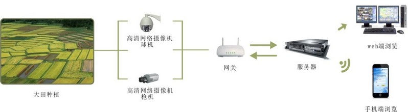 苗情视频监测系统