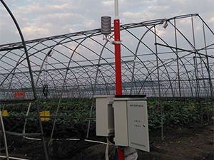 智能温室大棚监控系统自动控制开窗、风机湿帘、生物补光、灌溉施肥