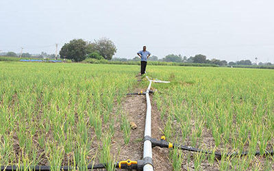 智能灌溉管理物联网土壤传感器接收有关土壤含水量 盐分 温度