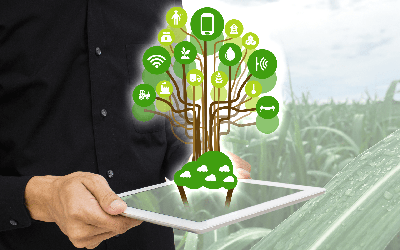 现代农业智慧农业结合IT扩大转型数字化农业