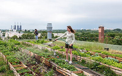 繁华市区智慧农业屋顶和鱼菜共生智能温室大棚