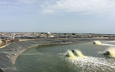 水质监测物连网智慧水产养殖