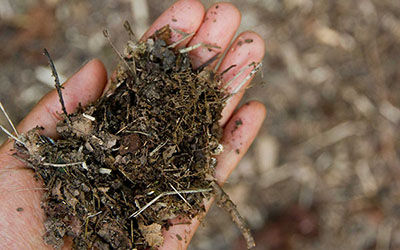 智慧农业智慧园林种植养护肥料介绍自动施肥水肥灌溉