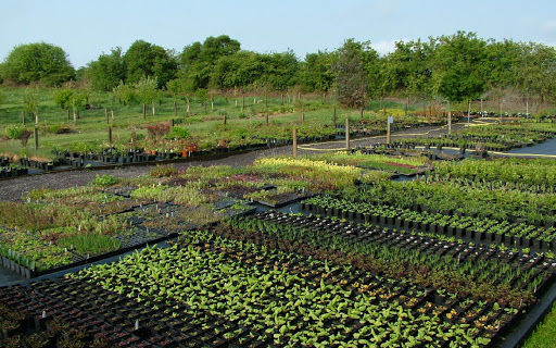 智慧园林苗圃种植自动化需求解决方案