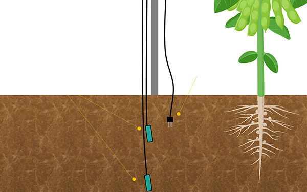 智能土壤传感器在整个生长季节的土壤水分和灌溉数据
