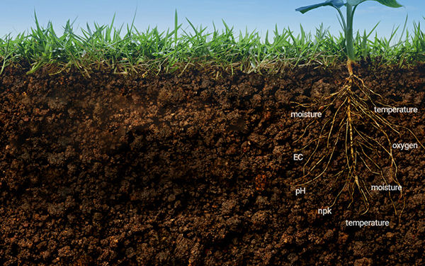 土壤传感器电常数与土壤含水量之间关系的精度