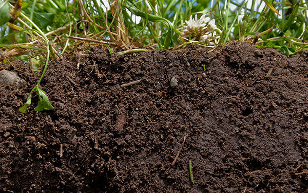 利用土壤水分进行智能灌溉控制管理