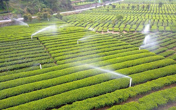 5G网络智慧农业信息化灌溉智能控制系统水电双控