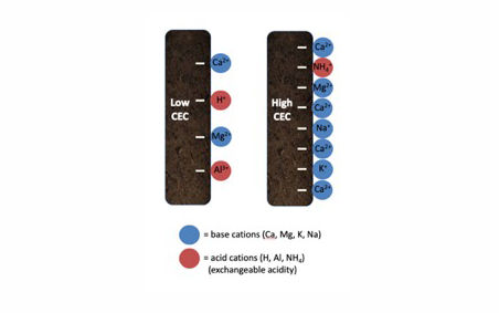 阳离子交换容量 (CEC) 是一种基本的土壤离子特性