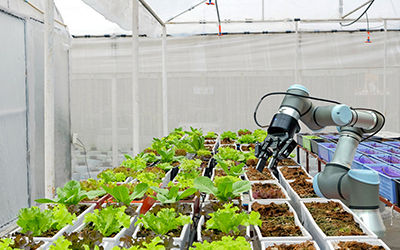 小学农业试验智能灌溉系统全科教室建设