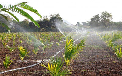 校园农业基于传感器的智能灌溉系统