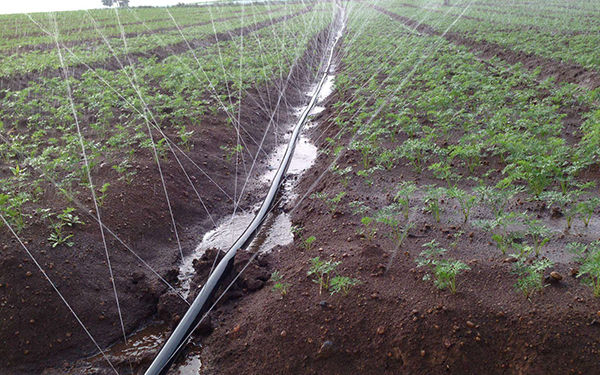 智慧农业环境水质物联网数据采集仪