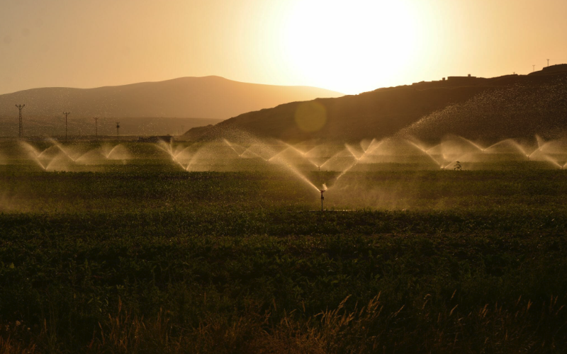 物联网技术真正的灌溉自动化