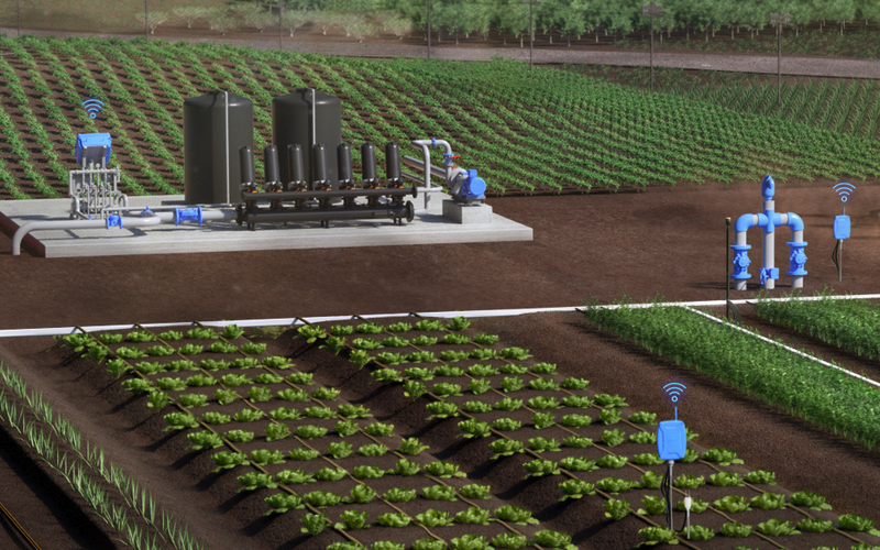 精准灌溉如何提高水果或葡萄的产量