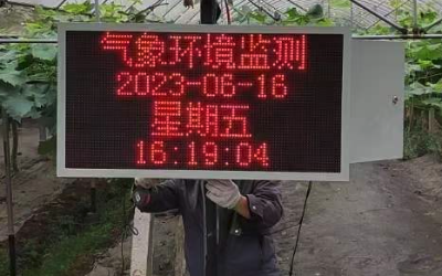 led显示温室大棚监测系统