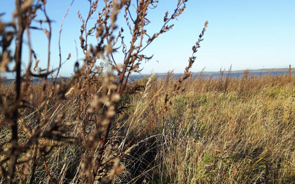 雷达波水流量记录控制仪的应用