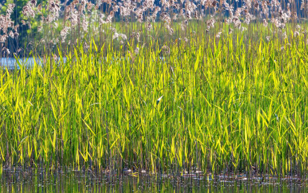 农村地下水水位监测