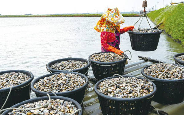 水质管理对于水产养殖至关重要