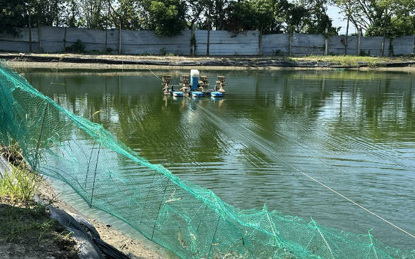 水产养殖水质酸碱度解决方案