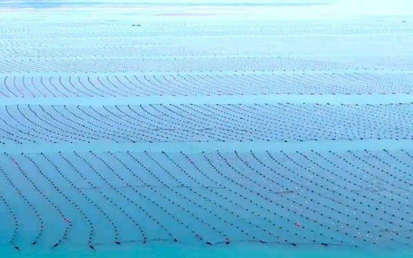 水质传感器的概述、应用、原理