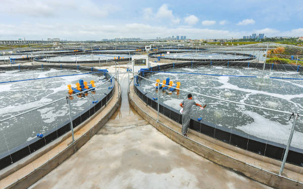 环境测量水质自动监测