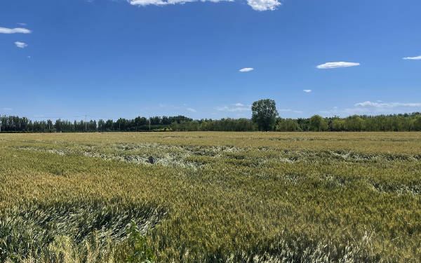 农业云端集中管理天气数据、土壤状况、农作物