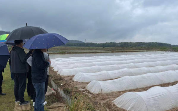 物联网农业大棚温湿度农场管理