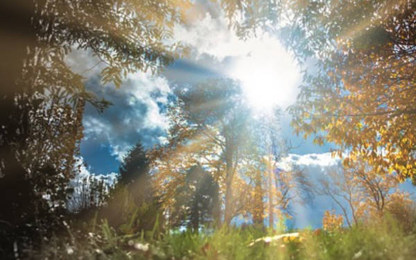 辐射观测系统监测系统