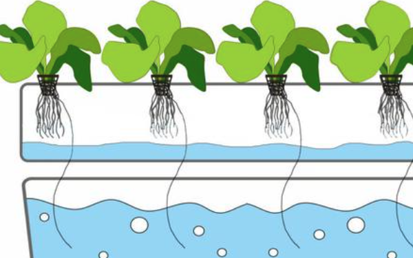 水培栽培系统的灌溉设计